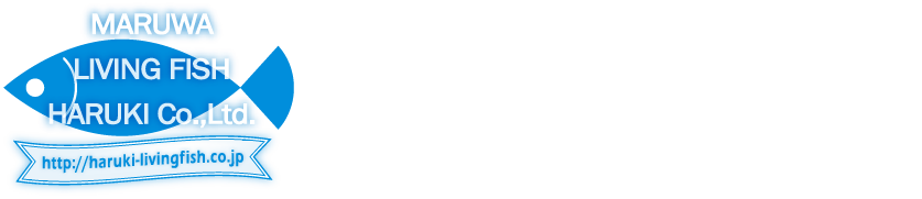 株式会社 春木商店