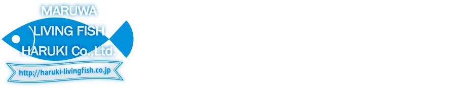 株式会社 春木商店