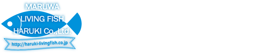 株式会社 春木商店